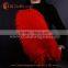China factory wholesale ostrich feather from south africa