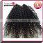Arison Hair 100% remy hair malaysian kinky straight hair weave