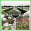 HDPE hail guard net for apple tree ,the best anti hail net