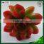 artificial mini succulents artificial succulents wholesale