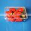500g Disposable Clear Strawberry Packaging Fruit Container