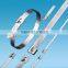 Hot sale Stainless Steel Cable Tie (ladder type ) 12*600