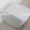 concealed cistern washdown floor mounted toilet / wall hung toilet B2051B