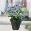 Cheap Artificial Potted Small Plastic Flower Plant in Black Plastic Pot for Sell