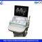Portable Ultrasound Device