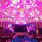 8&facet prism,wholesale beam spot light(3In1),factory making,perfect show events effects