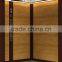 Hair line stainless steel Passenger/Home/Recidential lifts/elevator manufacture
