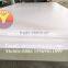 Wood Plastic Foam Board Machine to Replace MDF Board Production Line