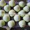 good quality golden delicious apple china bagged golden apples
