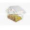 Window Mount Clear Acrylic Bird House Feeder With Suction Cups