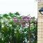 Motion Sensor Solar Wall Light solar motion sensor light