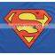 Super Woman T Shirts