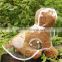 Animal waterproof dog raincoat for pet