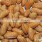 Hot sell Delicious Roasted and Salted Peanut food in tins