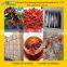 GMP Certified Manufacturer Supply 2016 Chinese Goji Berry
