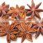 Vietnam star aniseeds, best quality & good price