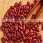 JSX premium small red bean large grain cheap price dark red kidney bean