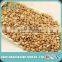 Wholesale Price Apricot Kernel Seed for Sale