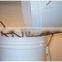 pail perch for honey tank beekeeping equipments honey extractor tools