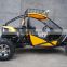 Renli 1100cc EEC dune buggy sales very hot