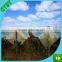 200 micron agricultural plastic polyethylene film ldpe greenhouse cover