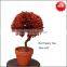 Preserved topiary red boxwood ball tree