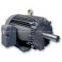 Toshiba Three Phase High Low Votage Motor