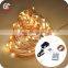 Holiday Decoration Copper Wire 10M 100 LEDs Led String With Remote Controller