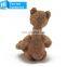 Custom Plush Material and Bear Type toy