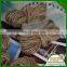 Raw Hemp Rope/hemp String