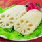 Lotus Root Chips Vegetable Lotus Rhizome Slices High Quality Fresh and Edible Sliced Rhizomes Lotus
