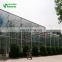 Quality Polyunnel Commercial Modern  Glass Greenhouse For Sale