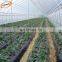 Plastic agriculture mulching film