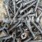 Hot sale China manufactory collated drywall screws high quality