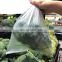 China Manufacture 100% Biodegradable Plastic T-shirt Bag Compostable Bags  Bioplastic Bag