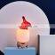 Newest Led Growing Dinosaur Lights Decoration Gifts Birthday Gifts for Boy