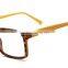 Plastic Optical Glasses and Color Optical Glass and Fashion Optical Glasses