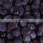 Sinocharm BRC A Approved IQF Cultivated Blueberry Whole Frozen Organic Blueberry