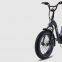 CE Small Foldable 20 Inch Fat Tyre Road Bike Electric 250W 500W 1000W
