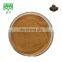 free sample pure natural gambir catechin gambir extract