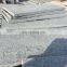 China Forest green granite