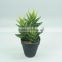 Home decorative artificial plants three different colors artificial cactus