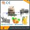 pineapple pulp processing line