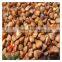 roasted buckwheat Organice grains wholesale