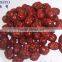 chinese product natural dry red date
