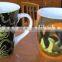Creative Magic Ceramic Mug With Spoon