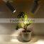 2016 NEW desgin 3W square rotatable downlight LED wall light