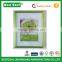 2016 spring Home decoration Vivid green wooden picture frame