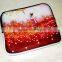 2015 Neoprene Tablet PC Laptop Sleeve for Ipad Wholesale Lady Laptop Bag