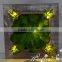 Interior Unique Design Retro Style China Factory Wholesale Artificial Lighting Succulent Photo Frame for Sale